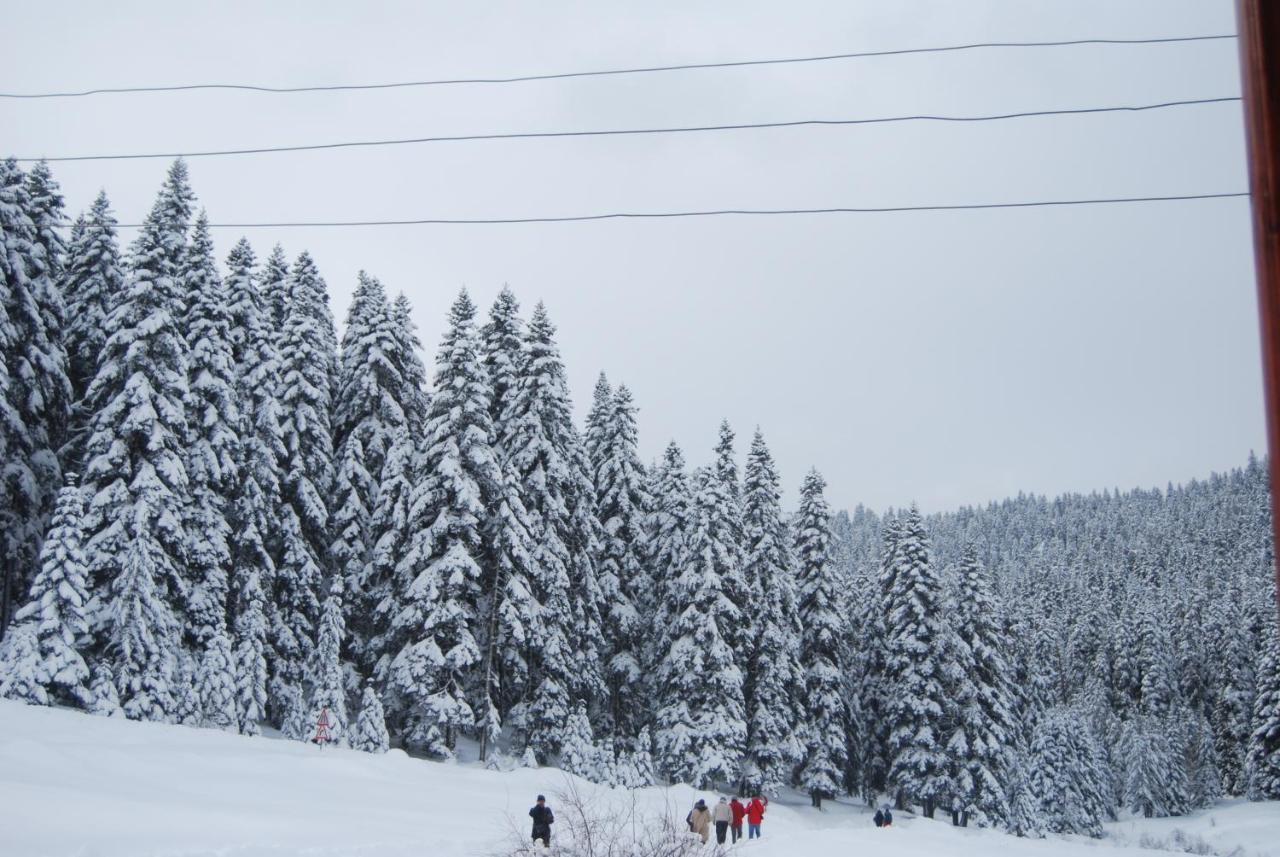 Iksir Resort Town Daday Екстер'єр фото
