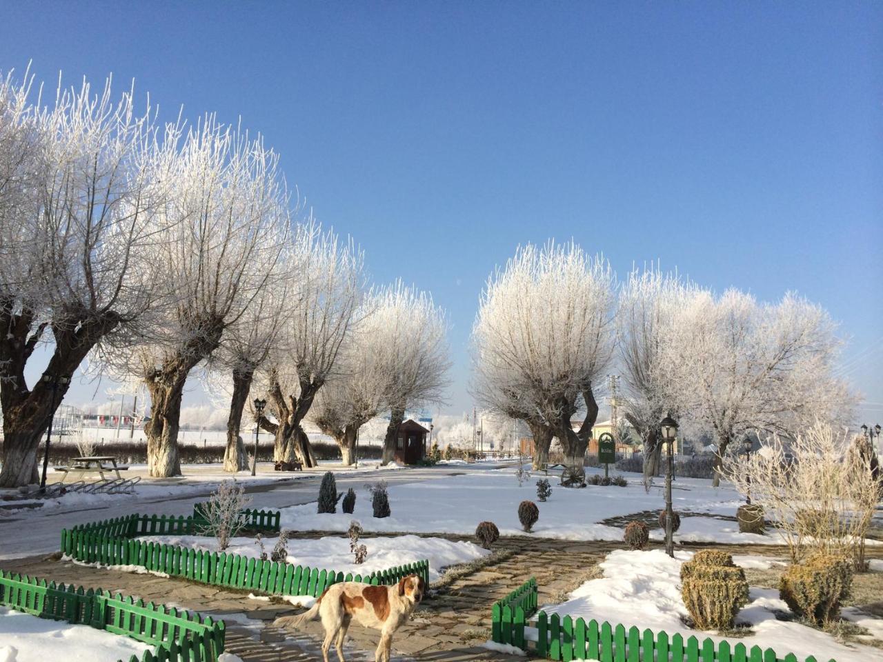 Iksir Resort Town Daday Екстер'єр фото